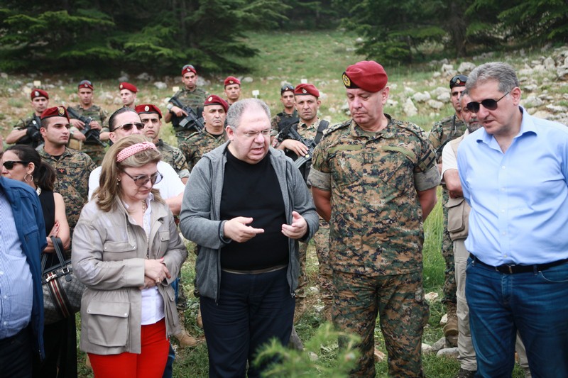 Cedar tree in memory of the Lebanese Commandos Regiment founder